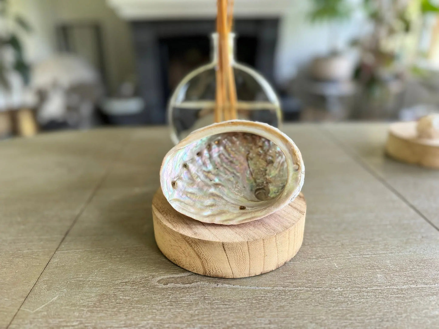 Coquille d'ormeau - Mon minéral