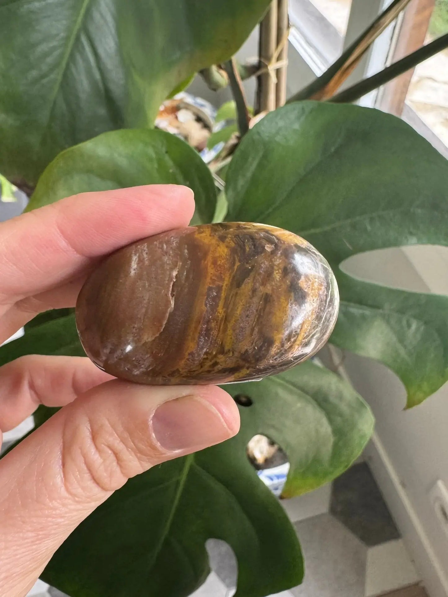 Bois fossilisé - Galet Mon minéral